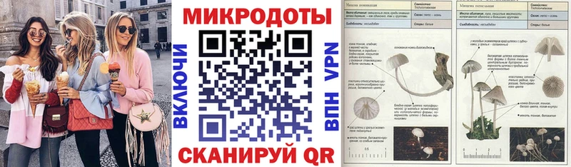блэк спрут ONION  магазин    Эртиль  Псилоцибиновые грибы GOLDEN TEACHER 